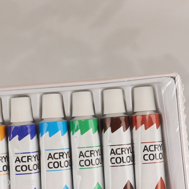 High Quality 10 Colors Acrylic Paints Set for Artists Beginners Kids