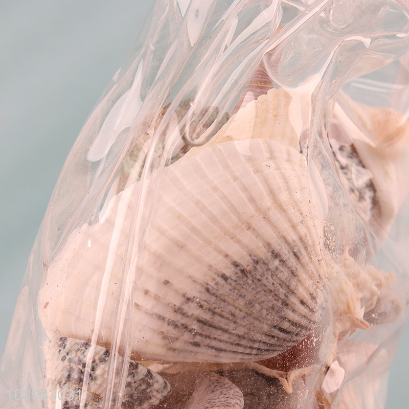 Top selling natural seashells home decor crafts wholesale