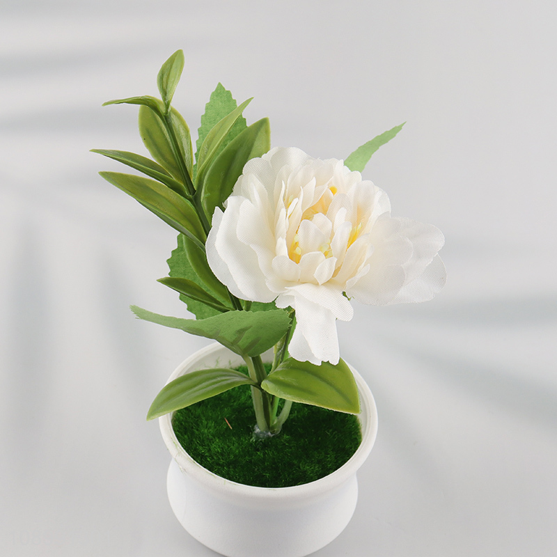 New arrival natural plastic artificial potted plant for home decor