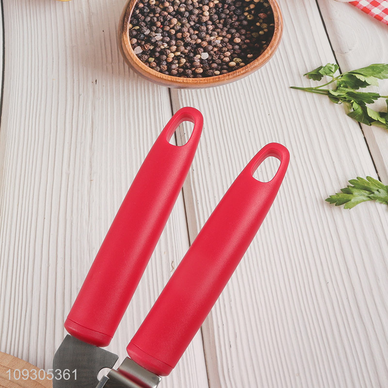 Top selling kitchen stainless steel garlic pressure