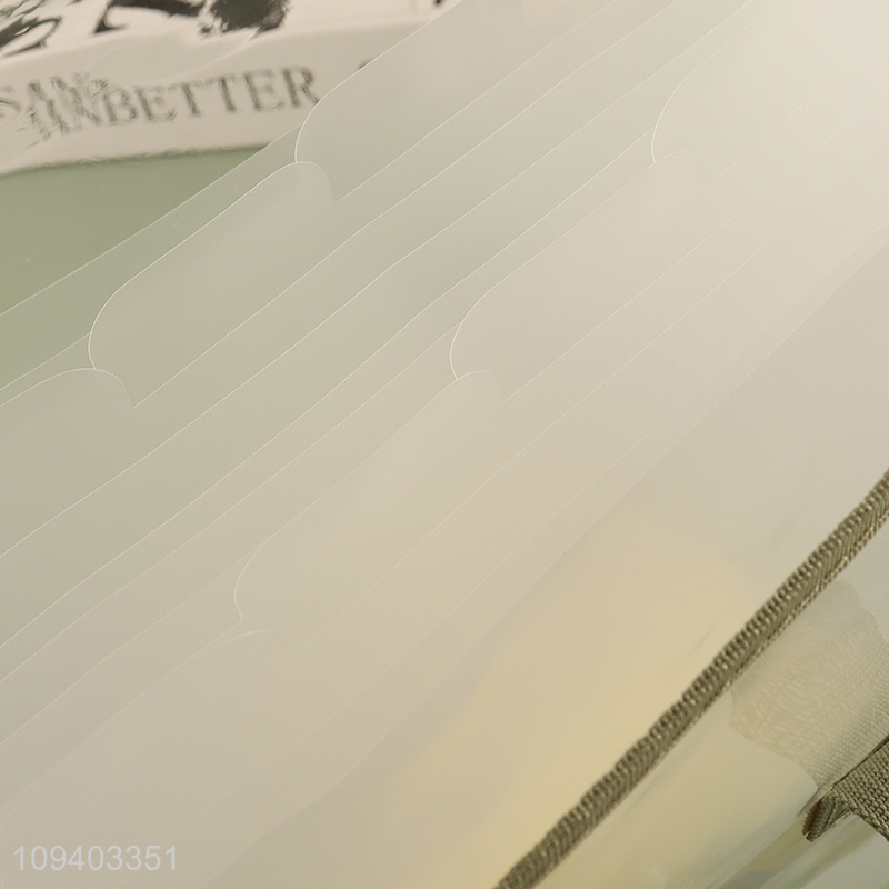New arrival  clear pvc tote file bag with handle