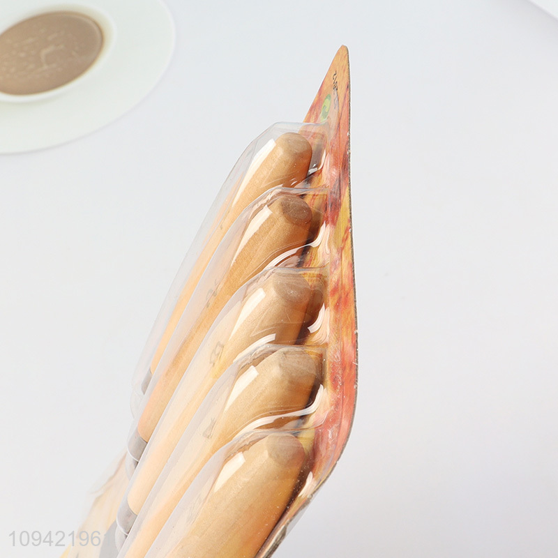 Top quality 5pcs palette knife set for oil painting