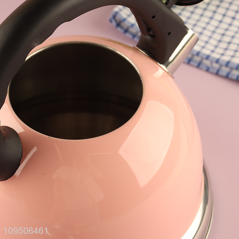 Top sale home kitchen stainless steel water kettle