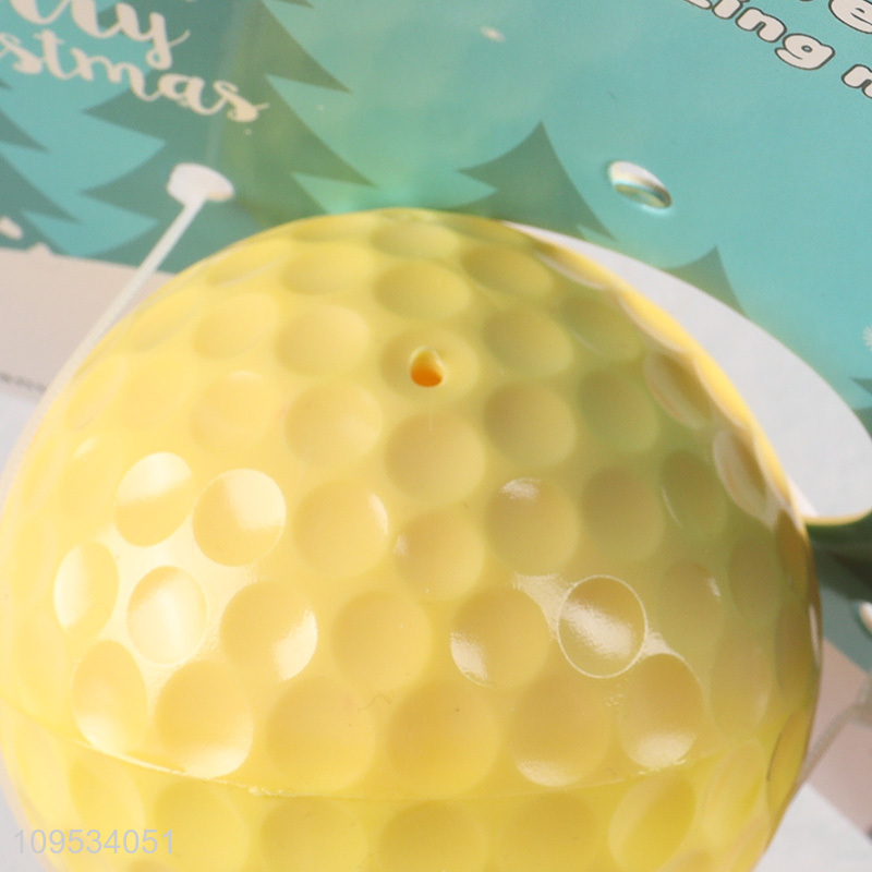 Top products pet interactive toys ball toys