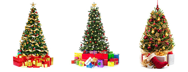 Make Your Christmas Trees More Delicate