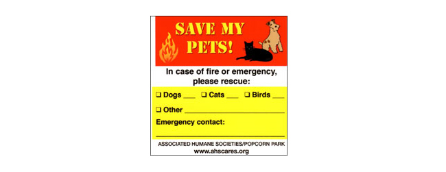 Good Christmas Gifts For Dogs