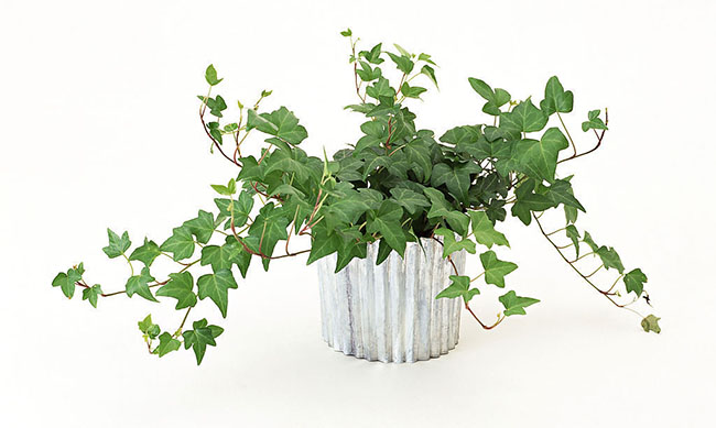 How to keep your skin hydrated