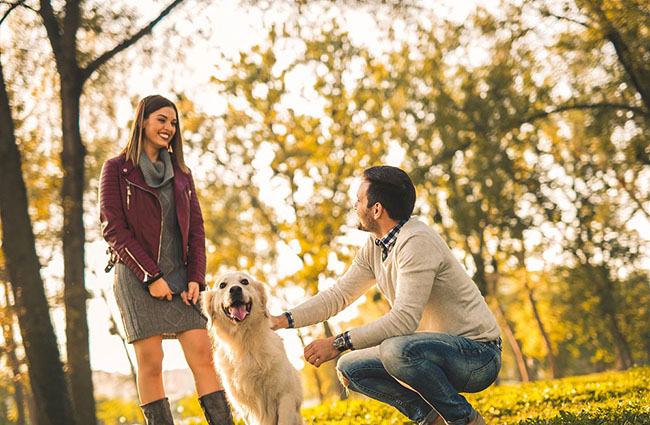Going Out for Exercising with Your Pet Dog